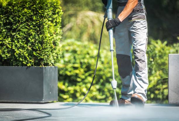 Animal Enclosure Cleaning in Oneida, NY